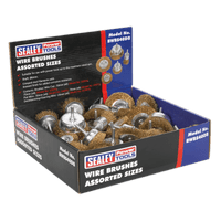 Sealey BWBS40DB Wire Brushes Assorted Sizes Display Box of 40