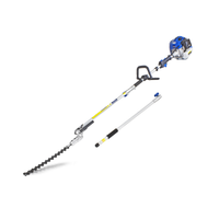 Hyundai HYPT5200X 52cc 2-Stroke Petrol Long Reach Pole Hedge Trimmer