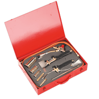 Sealey LPT14 Propane Torch Kit 14pc