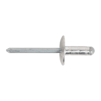 Sealey RM4819L Aluminium Multi-Grip Rivet Large Flange 4.8 x 19mm Pack of 200